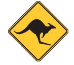 Moora Skippycoin ICG